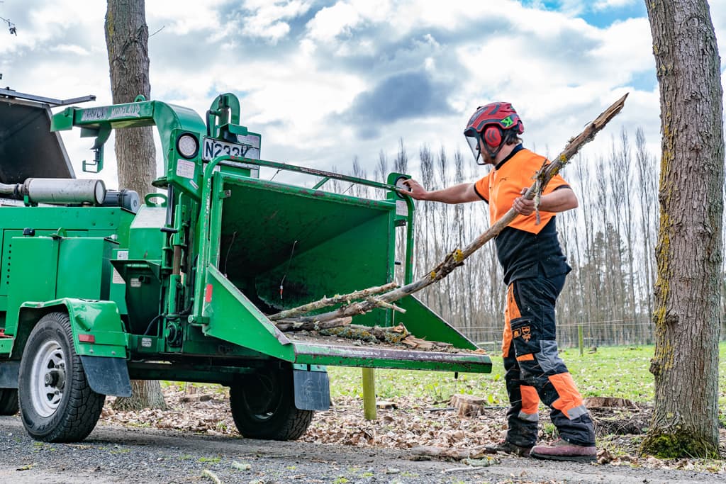 Qualified Arborists Tree Care North Canterbury JG Trees Ltd