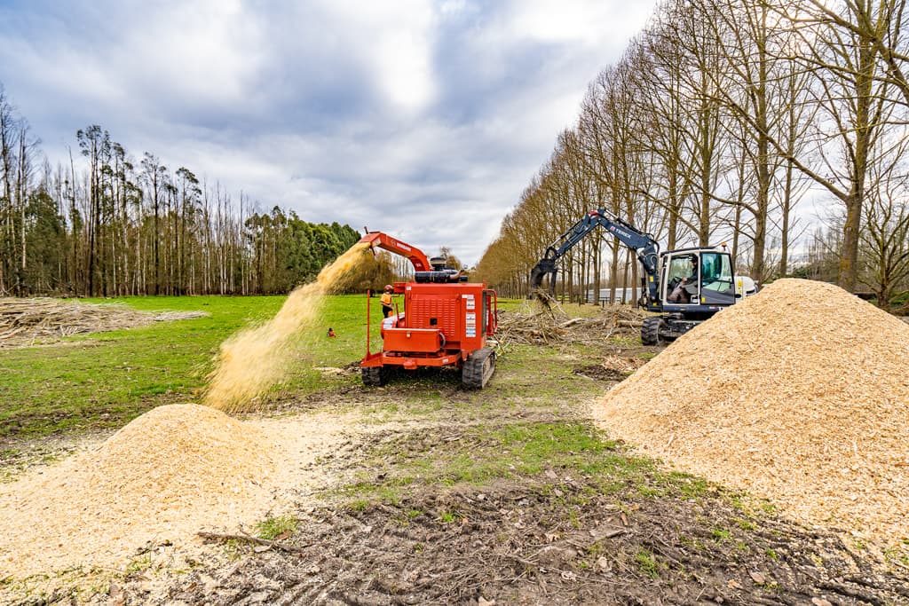 Qualified Arborists Tree Care North Canterbury JG Trees Ltd