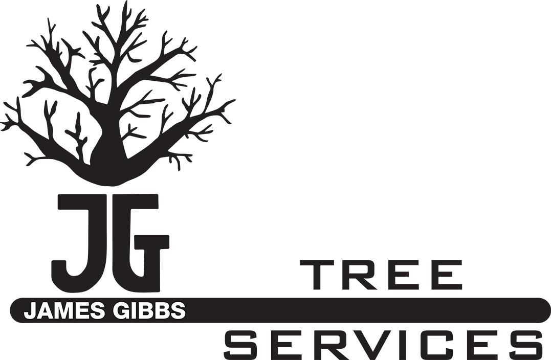 JG Trees Ltd