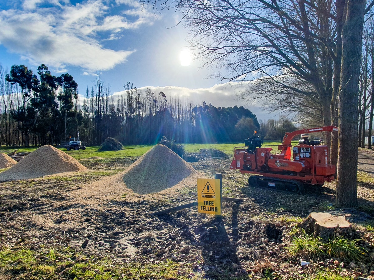 Gallery Tree care Rangiora North Canterbury JG Trees Ltd