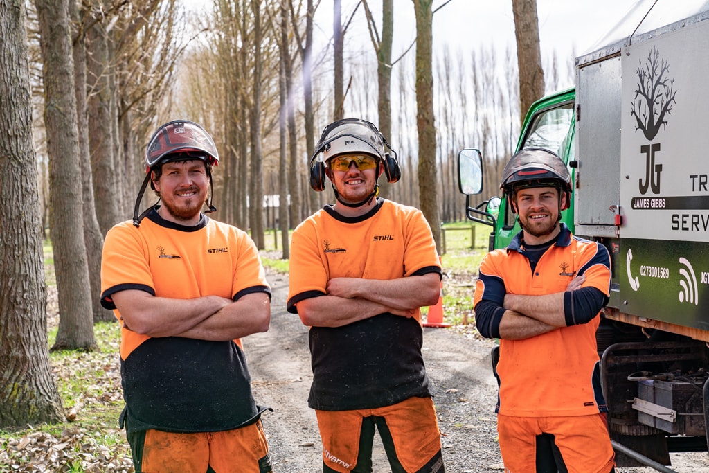 Our qualified team of arborists