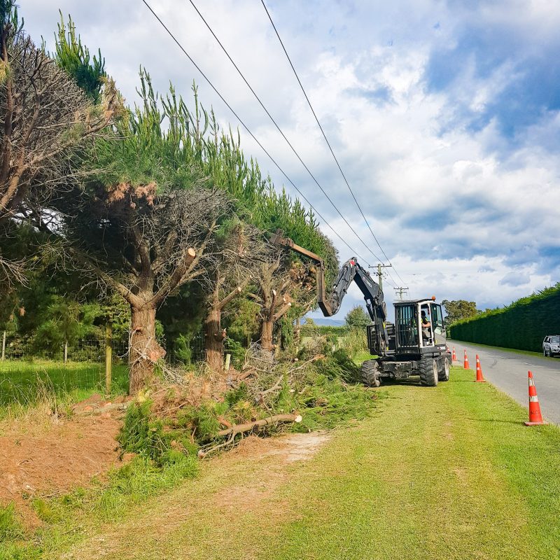 Woodchip & Firewood Residential Tree Care JG Trees Ltd