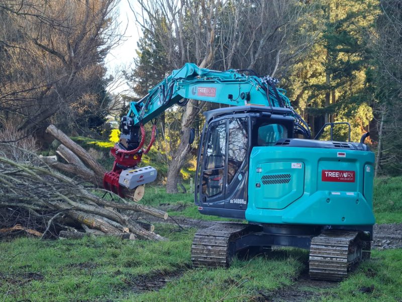 JG Trees tree topping and removal services in Kaiapoi, North Canterbury