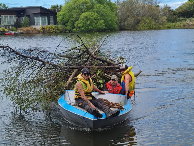 A tree removal in Kaiapoi, North Canterbury by boat with JG Trees