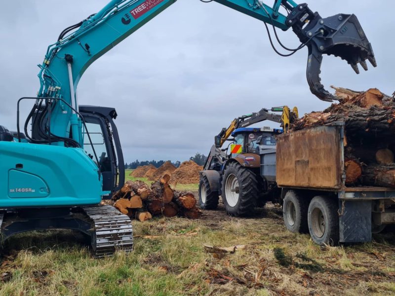 Tree removal services at Kaiapoi, North Canterbury by JG Trees