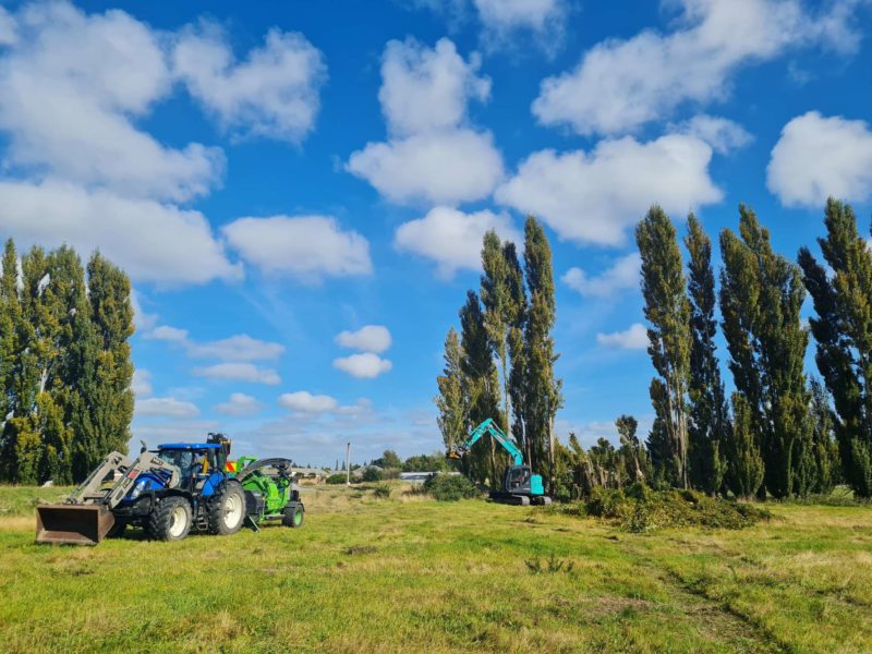 JG Trees tree topping services in Canterbury