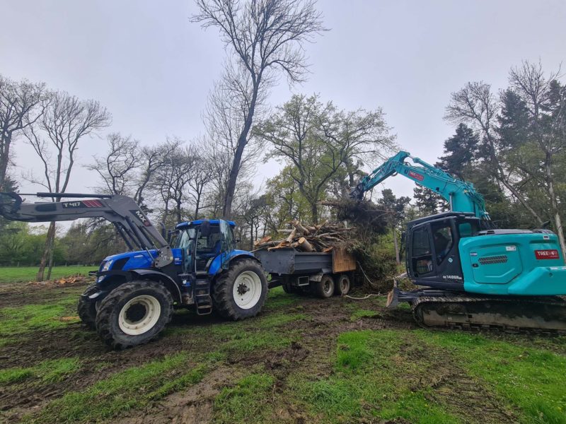 JG Trees carrying out tree removal in North Canterbury
