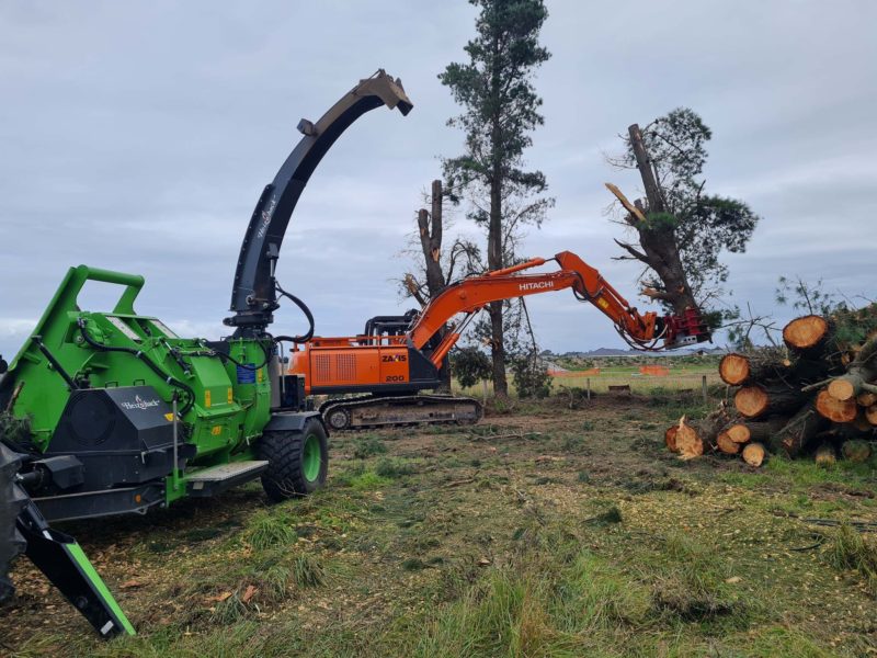 Tree topping services in Christchurch, Canterbury with JG Trees arborists