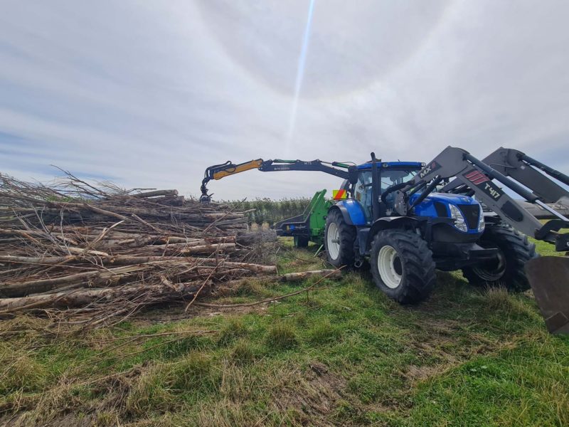JG Trees carrying out tree topping and removal in Woodend, North Canterbury