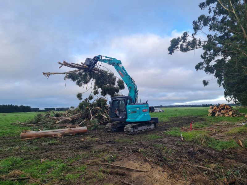 JG Trees carrying out tree topping and removal in Woodend, North Canterbury