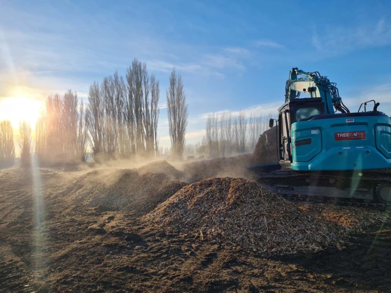 JG Trees carrying out whole tree chipping in Woodend, North Canterbury