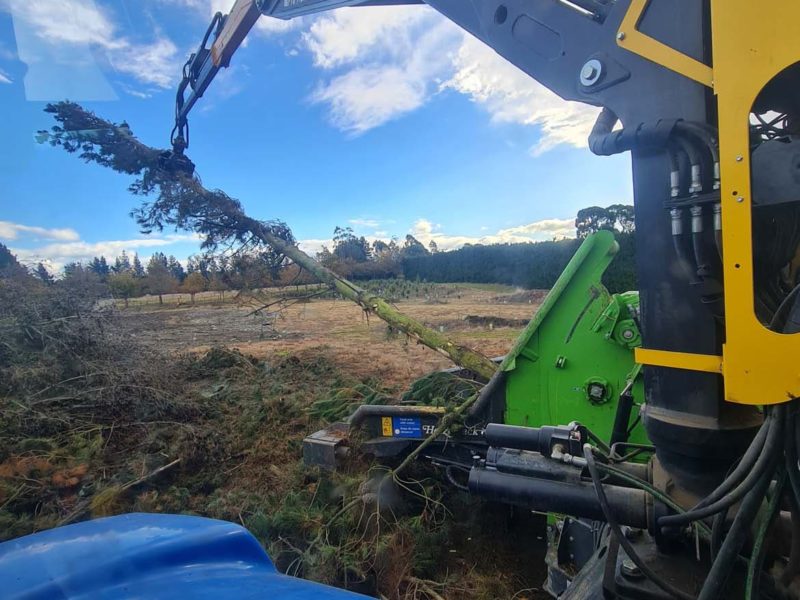 Tree topping services from JG Trees in Rangiora, North Canterbury