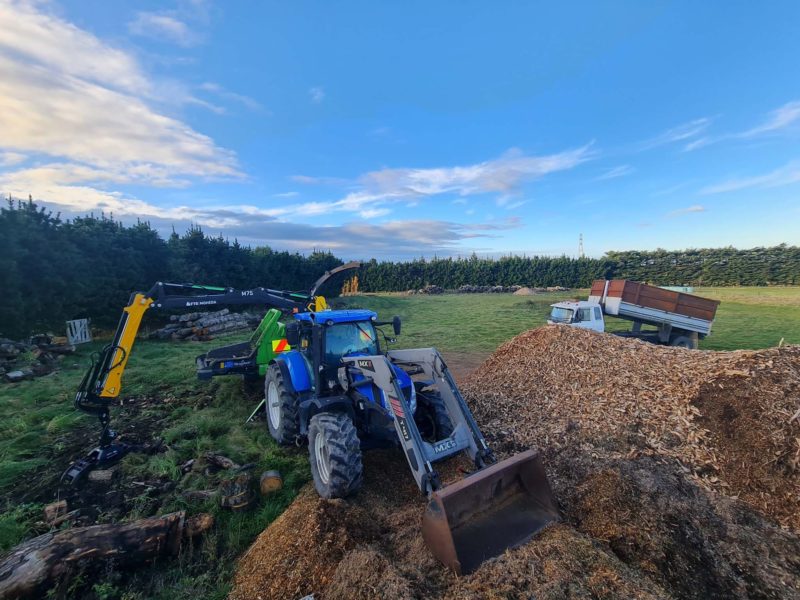 Tree topping services from JG Trees in Rangiora, North Canterbury