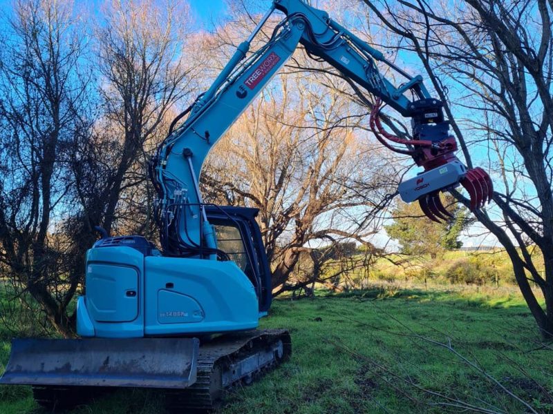 Tree topping services from JG Trees in Rangiora, North Canterbury