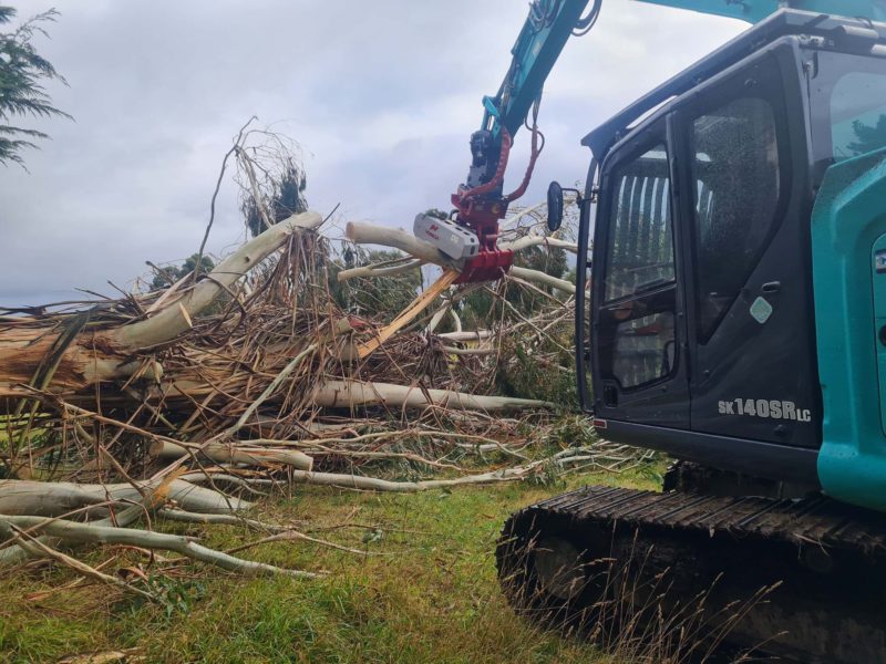 A tree removal by JG Trees arborists in Rangiora, North Canterbury