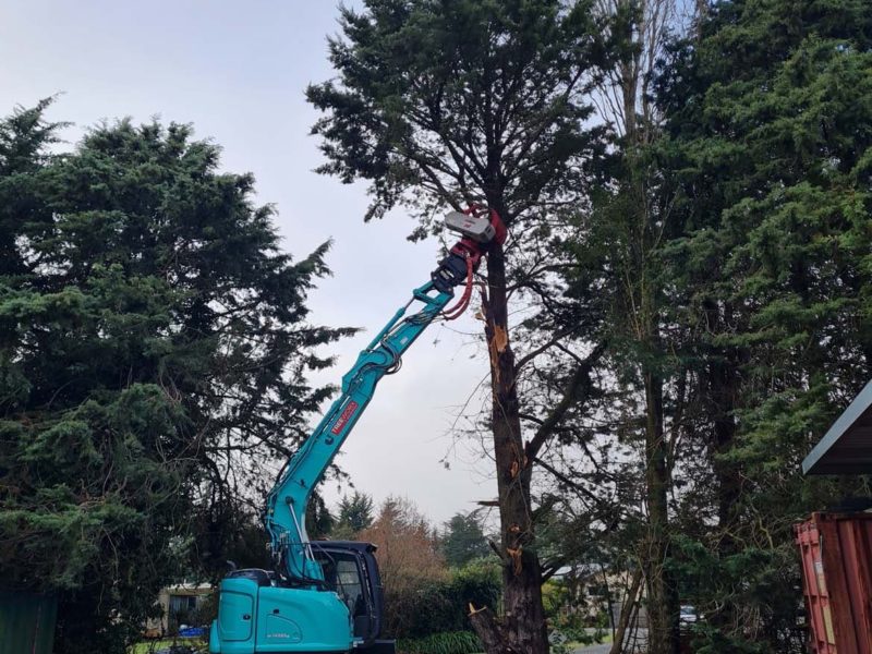 Tree topping services from JG Trees in Rangiora, North Canterbury