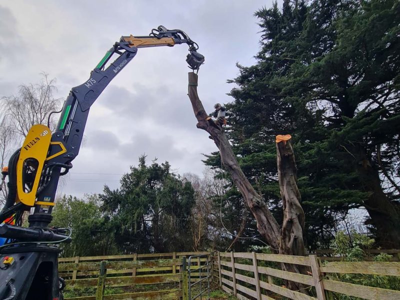 A tree removal in Kaiapoi, North Canterbury with JG Trees arborists