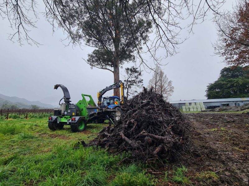 Tree pruning services in Christchurch, North Canterbury with JG Trees arborists