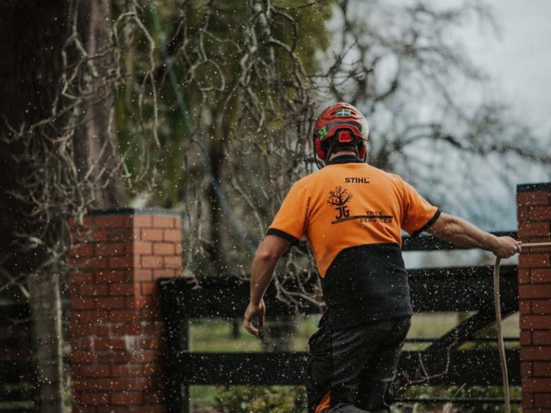 Tree pruning services in Rangiora, North Canterbury with JG Trees arborists