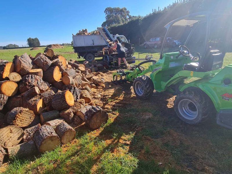 Tree chopping in Rangiora, North Canterbury with JG Trees arborists