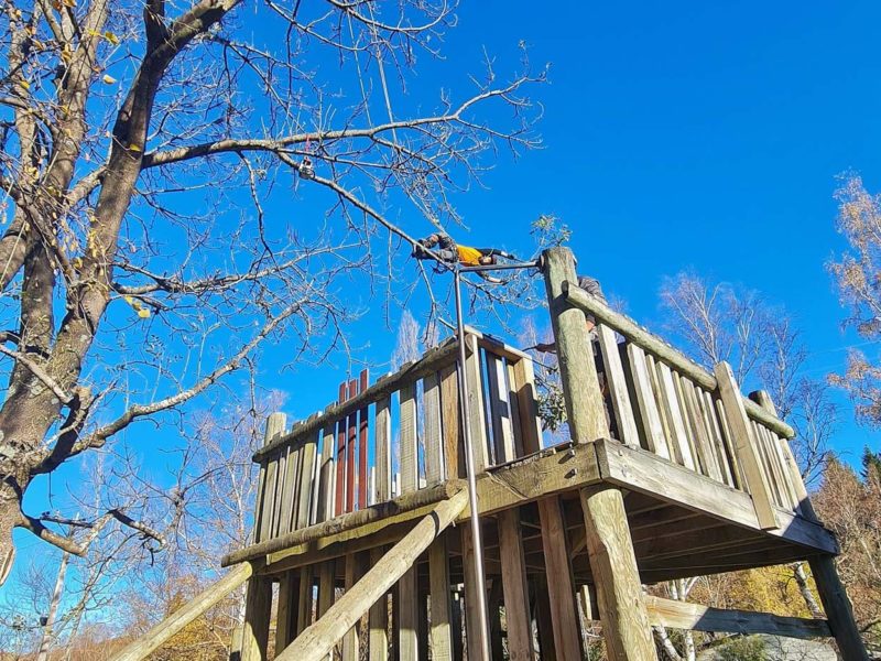 Tree pruning in Christchurch, New Zealand with qualified JG Trees arborists