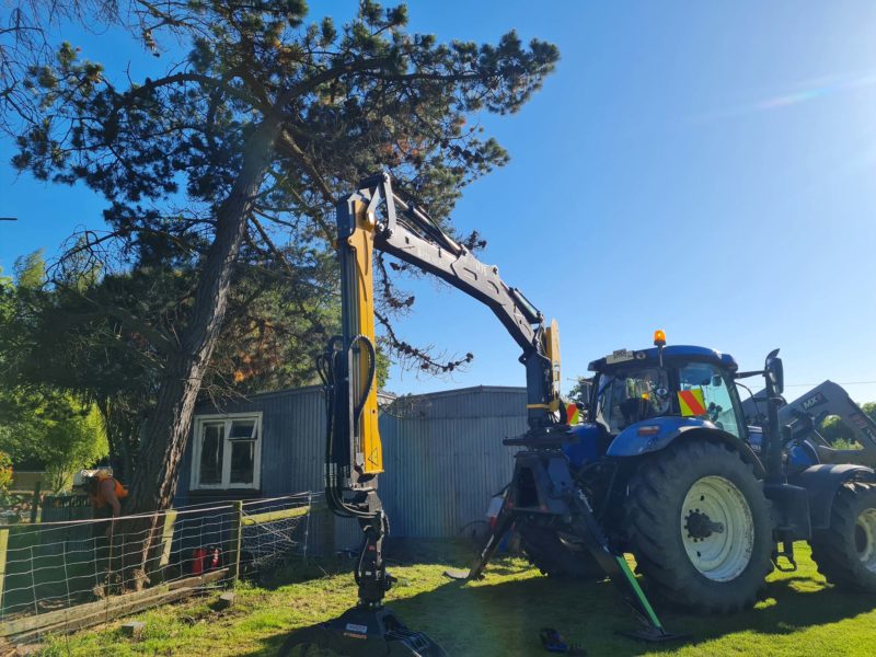 A tree removal in Christchurch, Canterbury with JG Trees arborists