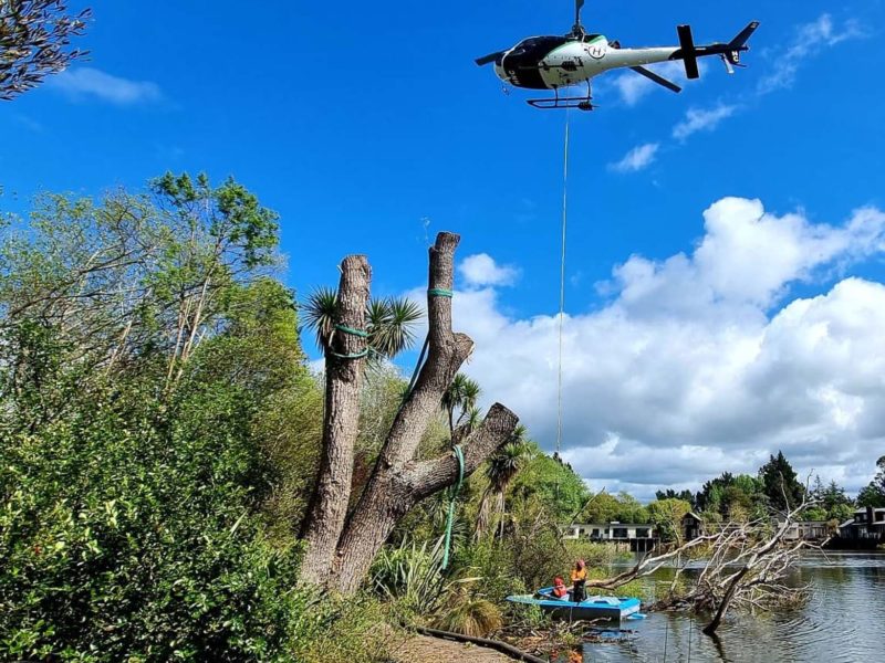 A tree removal by helicopter with JG Trees in Christchurch, North Canterbury