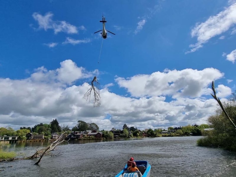 A tree removal by helicopter with JG Trees in Christchurch, North Canterbury