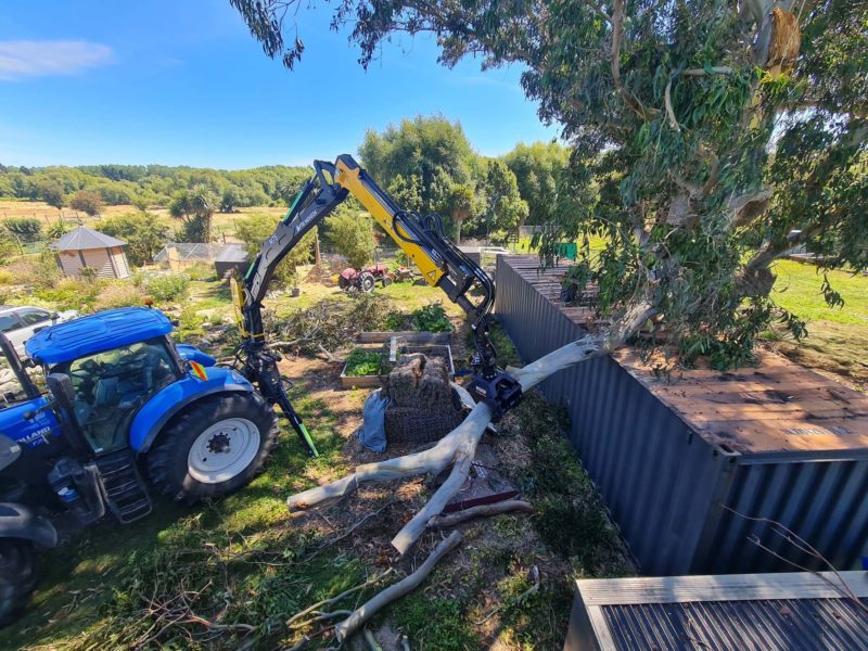 A tree removal in Christchurch, Canterbury with JG Trees arborists