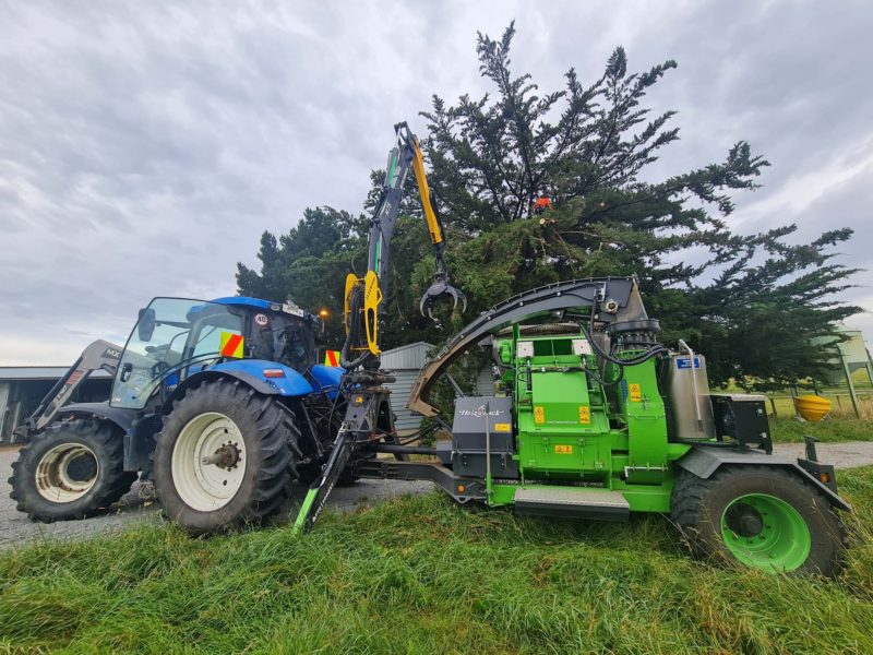 Tree topping services in Christchurch, Canterbury with JG Trees arborists