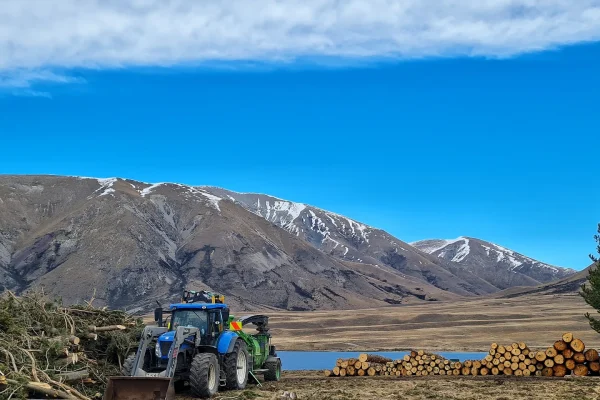 JG Trees tree removal services in Ashburton, New Zealand