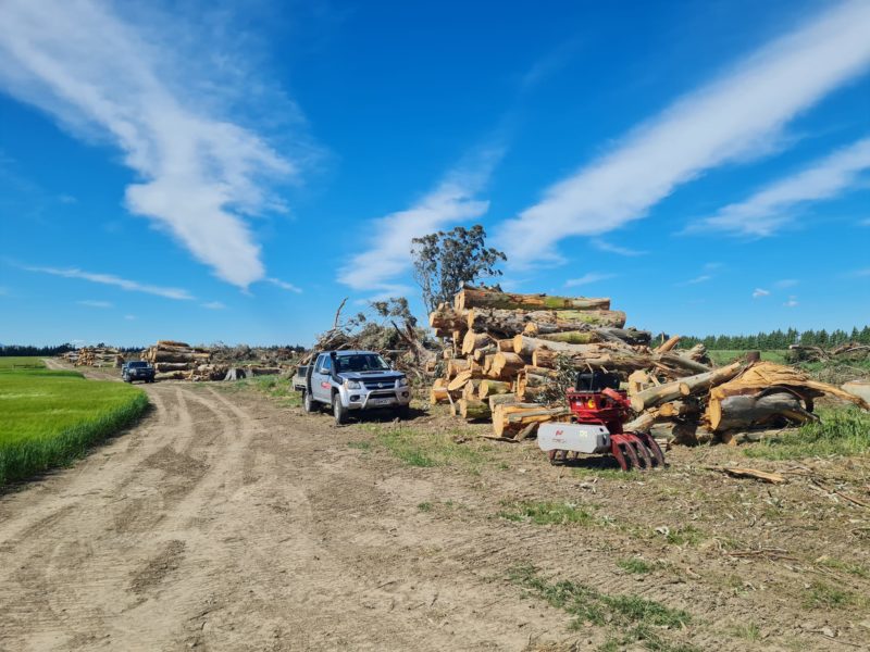 Tree removal services in North Canterbury for the New Zealand Truffle Company by JG Trees