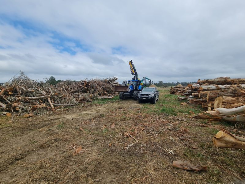 Land clearing services in North Canterbury for the New Zealand Truffle Company by JG Trees