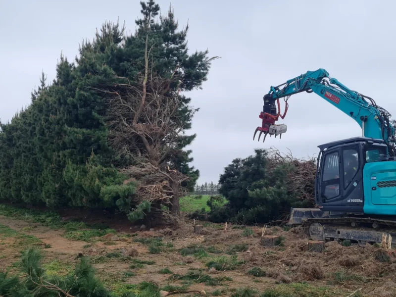 Land clearing services in North Canterbury for the New Zealand Truffle Company by JG Trees