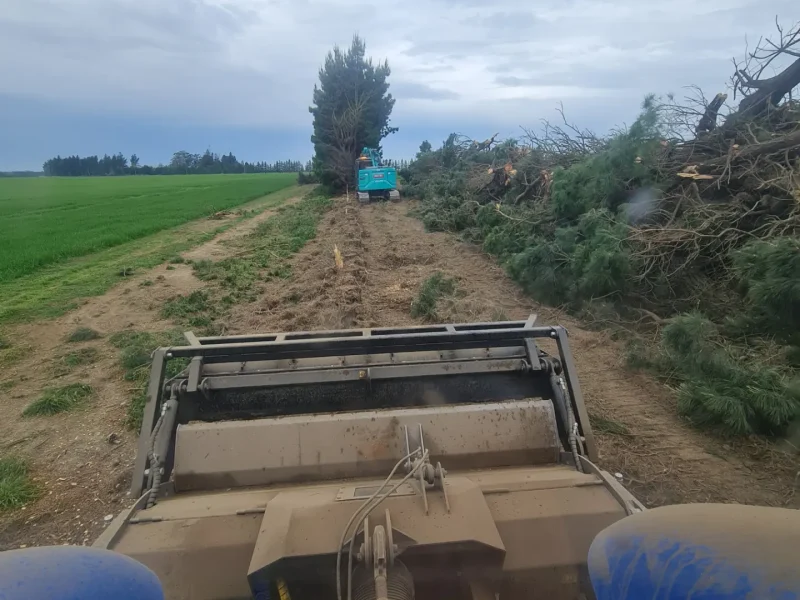 Land clearing services in North Canterbury for the New Zealand Truffle Company by JG Trees