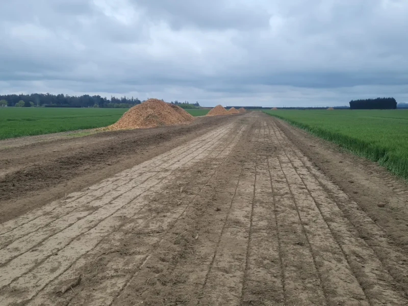 Land clearing services in North Canterbury for the New Zealand Truffle Company by JG Trees