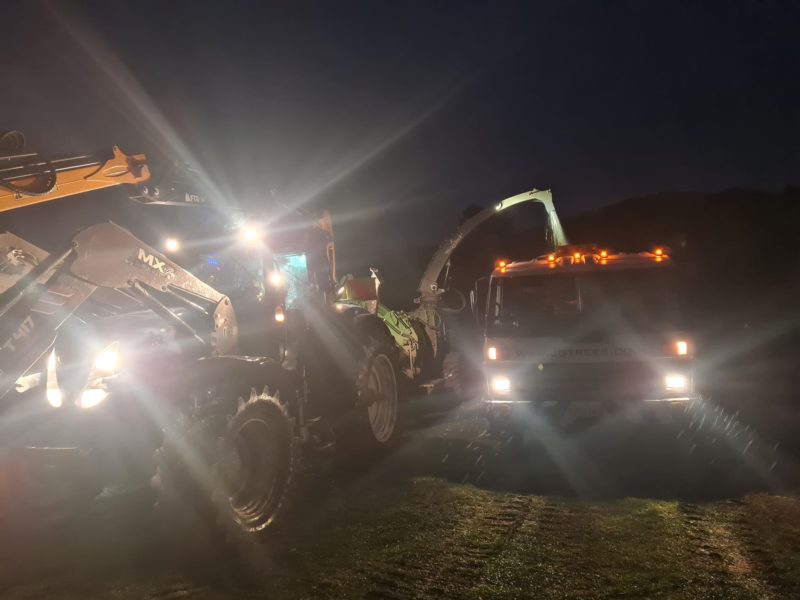 Tree removal services at Greystone in Waipara, North Canterbury by JG Trees