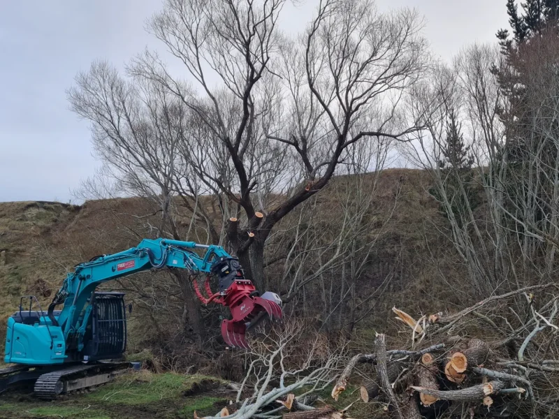 Tree removal services at Greystone in Waipara, North Canterbury by JG Trees