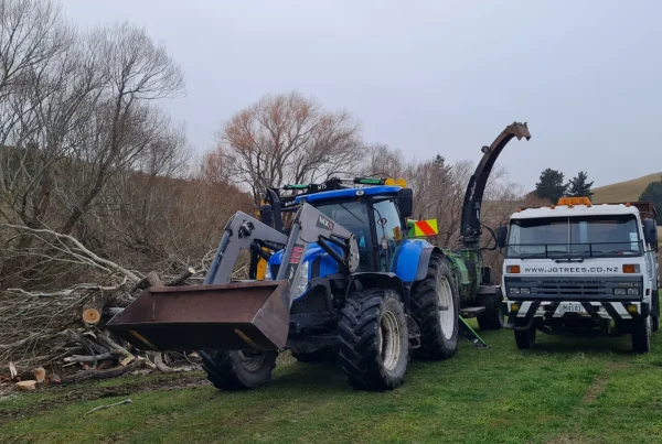 Tree removal services at Greystone in Waipara, North Canterbury by JG Trees