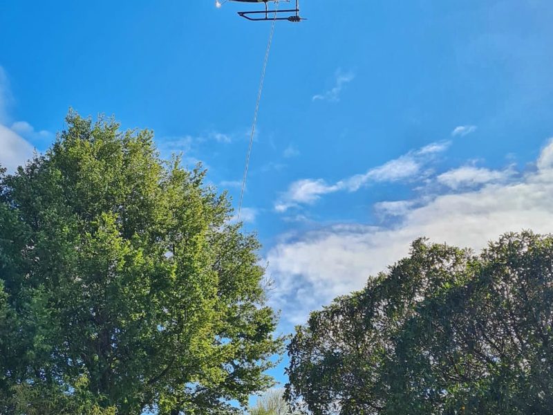 Kaiapoi tree removal in North Canterbury by JG Trees