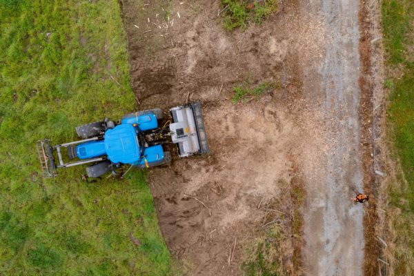 Stump removal and grinding services in Rangiora, North Canterbury by JG Trees