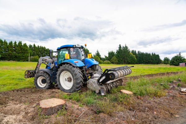 Stump removal and grinding services in Rangiora, North Canterbury by JG Trees