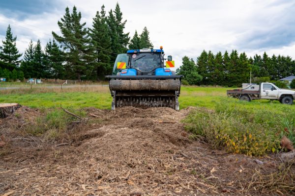 Stump removal and grinding services in Rangiora, North Canterbury by JG Trees
