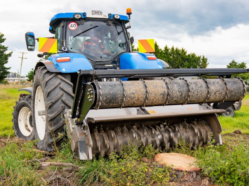 Stump removal and grinding services in Rangiora, North Canterbury by JG Trees