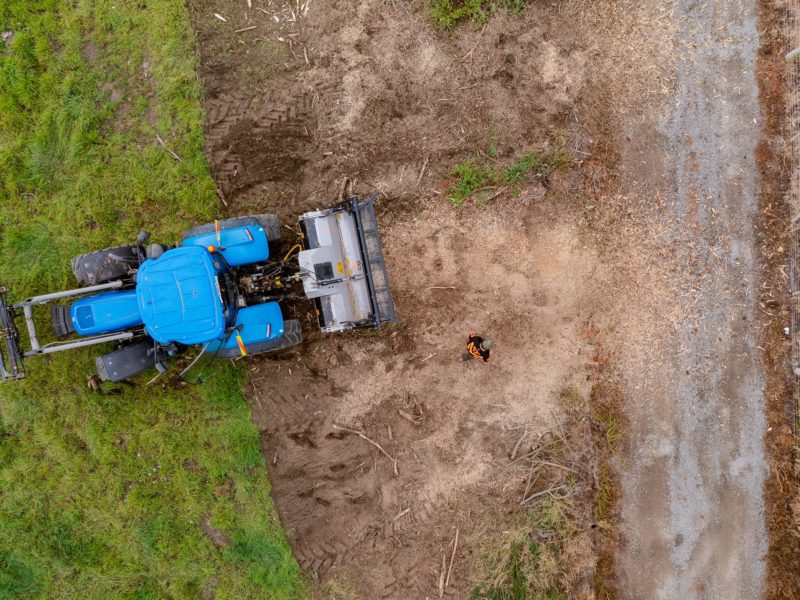 Stump removal and grinding services in Rangiora, North Canterbury by JG Trees