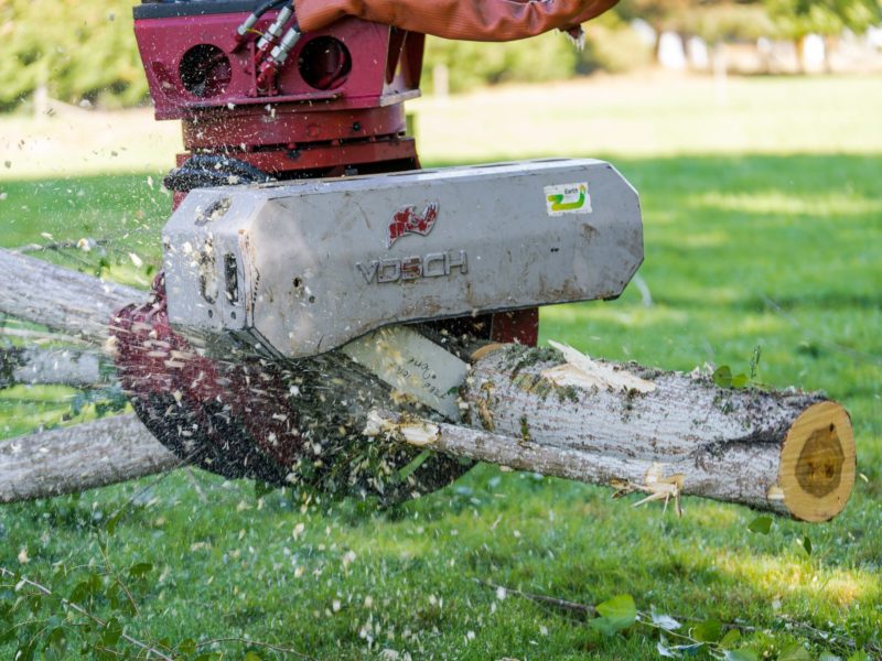 JG Trees carrying out tree topping and removal in Ohoka, North Canterbury