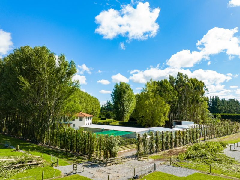 Tree topping services completed in Rangiora, New Zealand by JG Trees