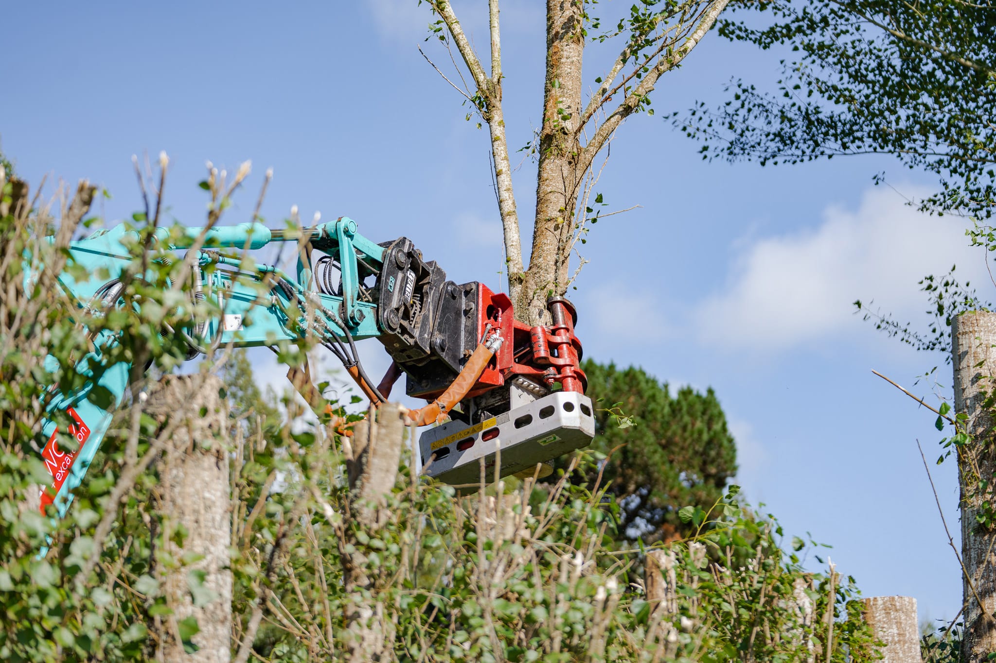 JG Trees carrying out tree topping in North Canterbury