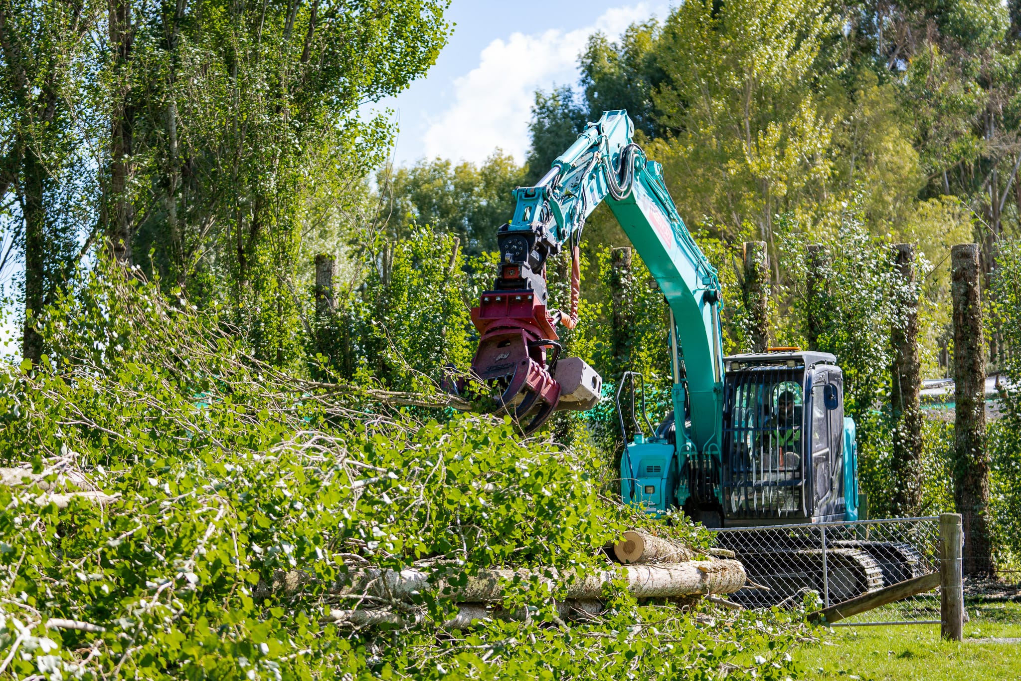 Tree topping by JG Trees arborists in Christchurch Canterbury