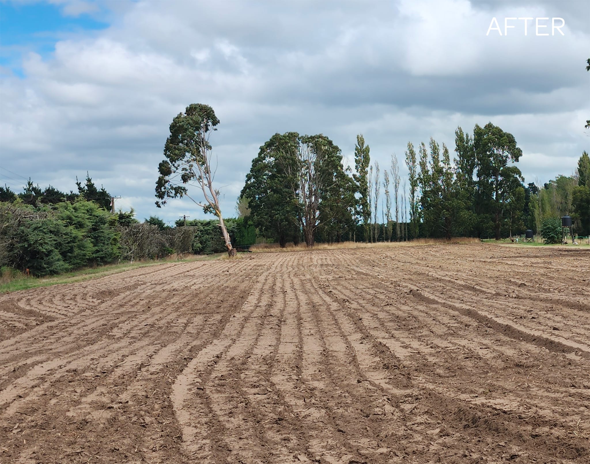 JG Trees land clearing services in North Canterbury after picture